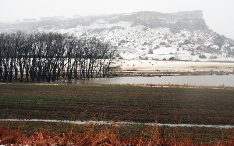 White Magic In Ficksburg